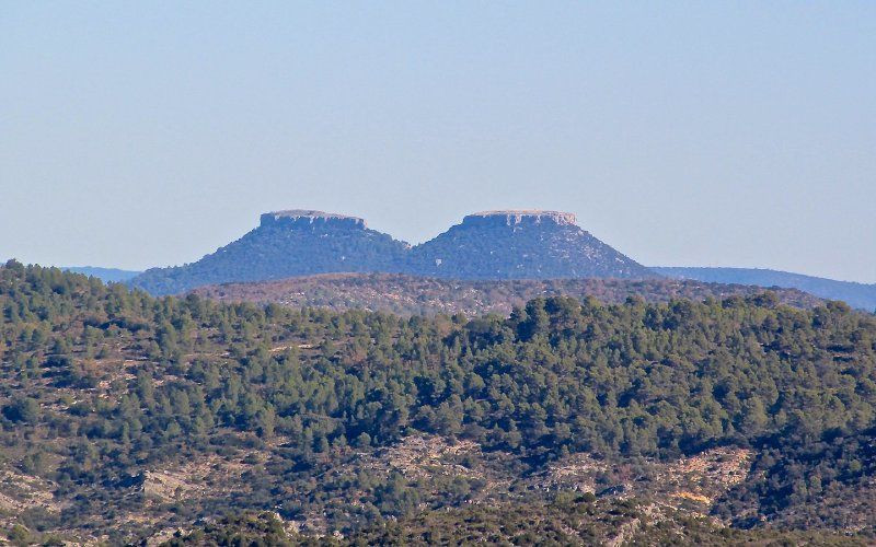 Les nichons de Viana