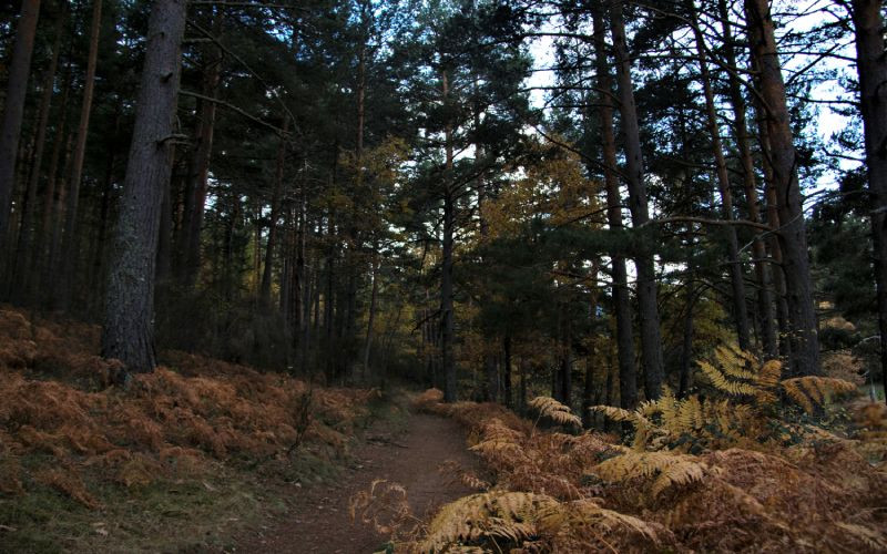 Chemin dans la zone autour du barrage du Pradillo