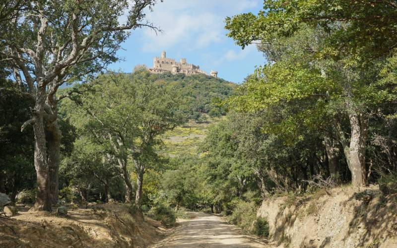 Sur le chemin du château de Requesens, que l'on peut atteindre à pied depuis Cantallops