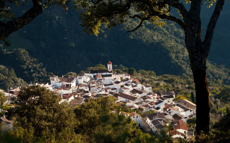 Vue panoramique de Genalguacil entouré de forêts de châtaigniers et de chênes-lièges