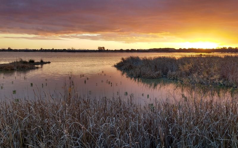 Coucher de soleil dans les marais du parc naturel de Doñana est une expérience unique