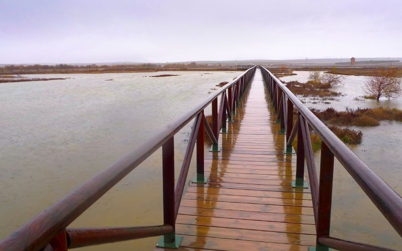 Se promener sur les sentiers construits sur cette lagune nous rapproche de la connaissance de ses habitants : les flamants roses