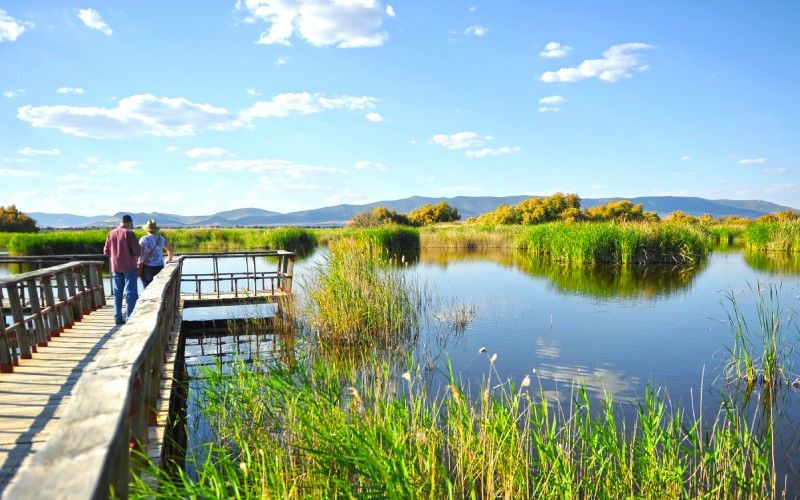 Bien que cet espace naturel ait été autrefois menacé, vous pouvez désormais contempler un paysage unique dans les Tablas de Daimiel