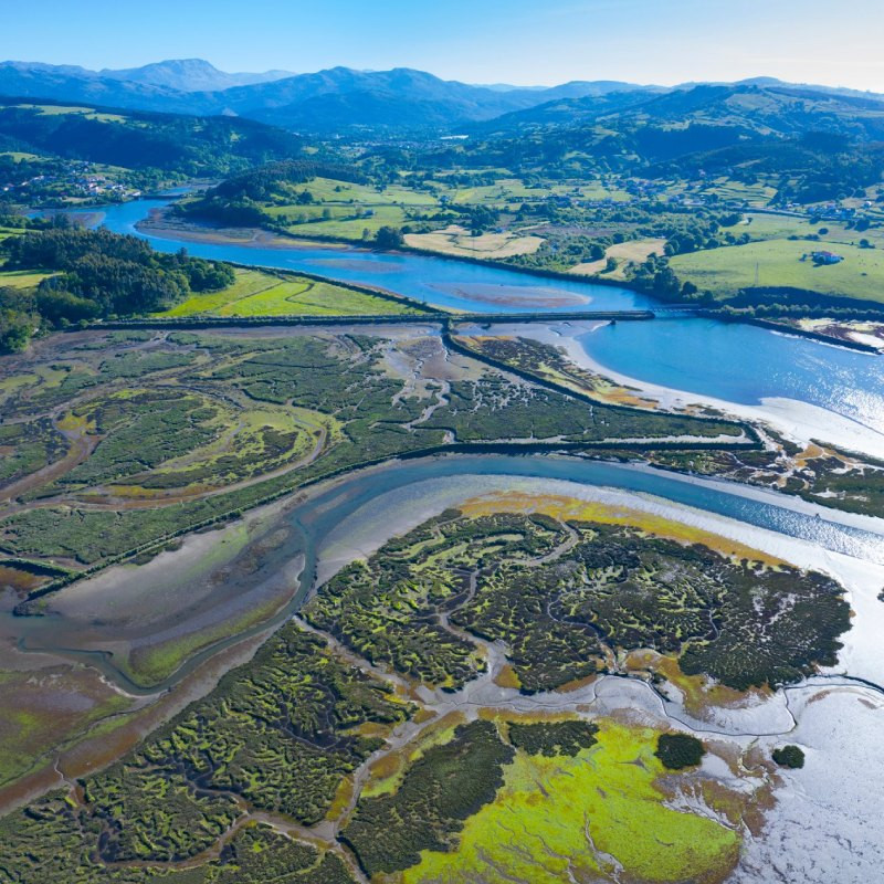 Parc naturel des marais de Santoña en Cantabrie