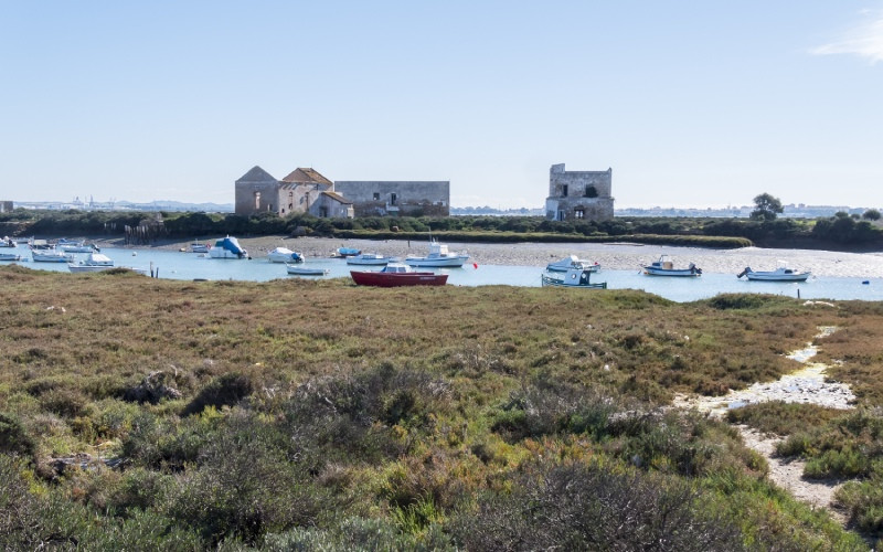 Parc naturel Bahía de Cádiz avec l'île de Trocadero au fond