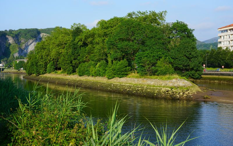 L'île des faisans