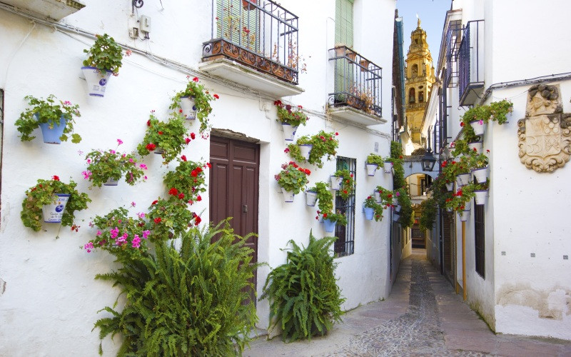 Ruelle de Las Flores