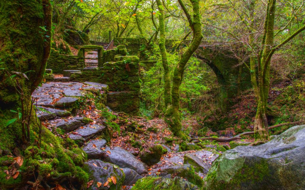 Parc naturel de Fragas do Eume