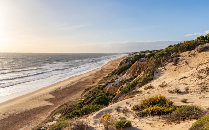 Coucher de soleil sur la plage de Doñana