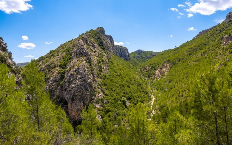 Section du ravin de la Vallfiguera