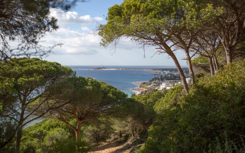 Zone naturelle protégée aux environs de Barbate 