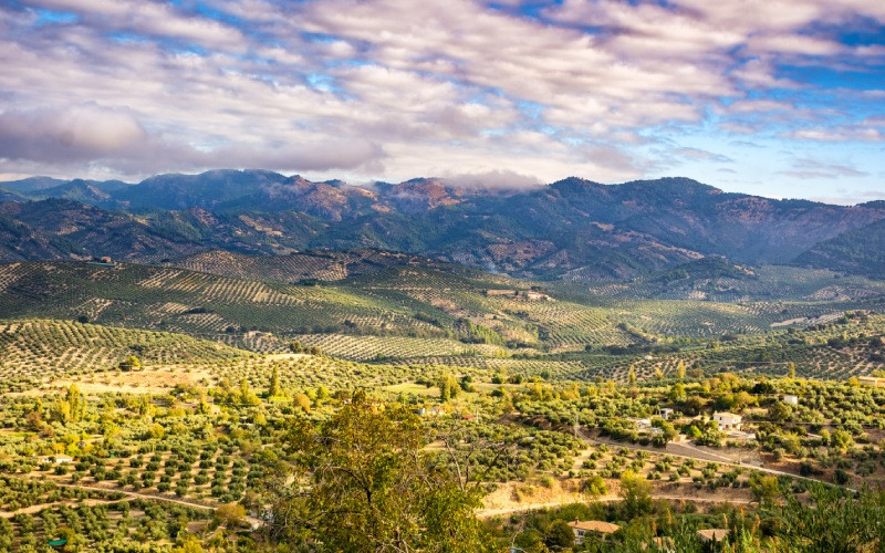 Sierras de Cazorla, Segura et Las Villas