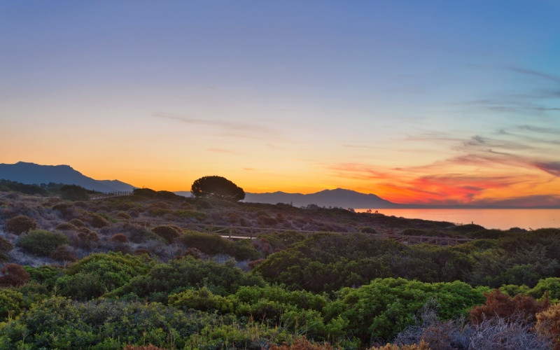 Les dunes d'Artola, l'un des plus beaux endroits de la côte andalouse