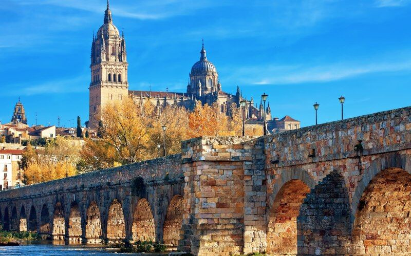 Le pont romain et la cathédrale de Salamanque