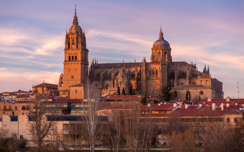 Cathédrales de Salamanque