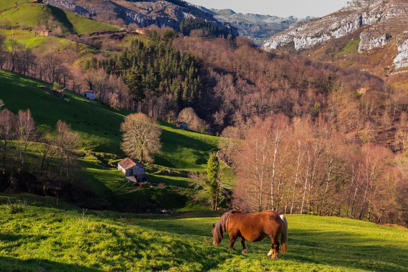 Vue sur la vallée du Pas