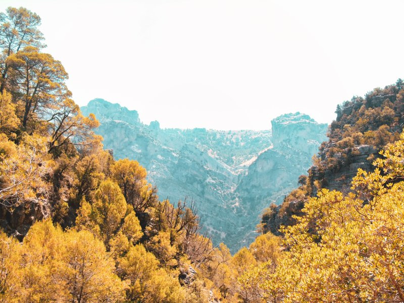 Vues du parc naturel de Cazorla