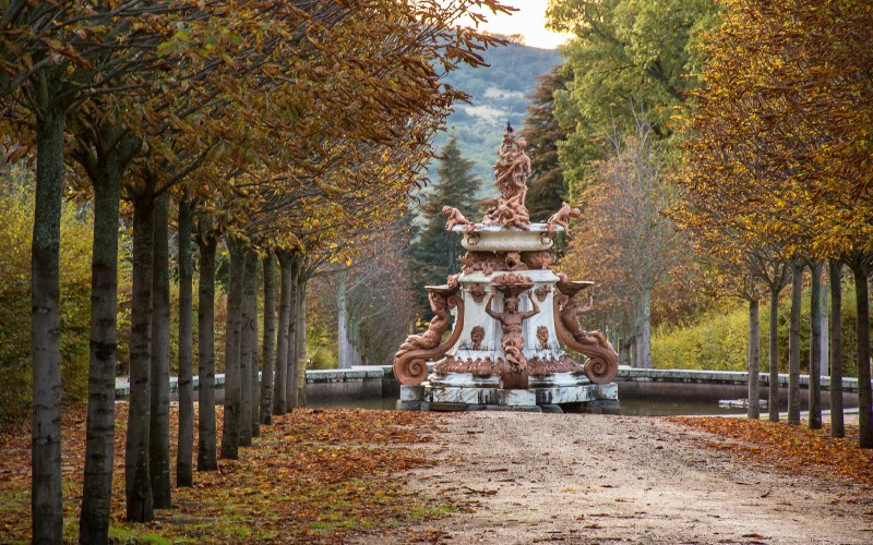 Jardins du palais.