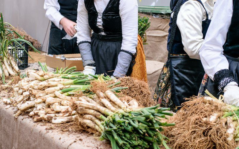 Festival de la Calçotada à Valls