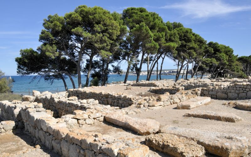 Ruines et pins et mer au fond