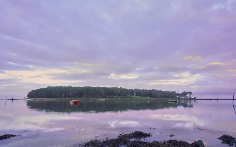 Île de Cortegada à l'aube