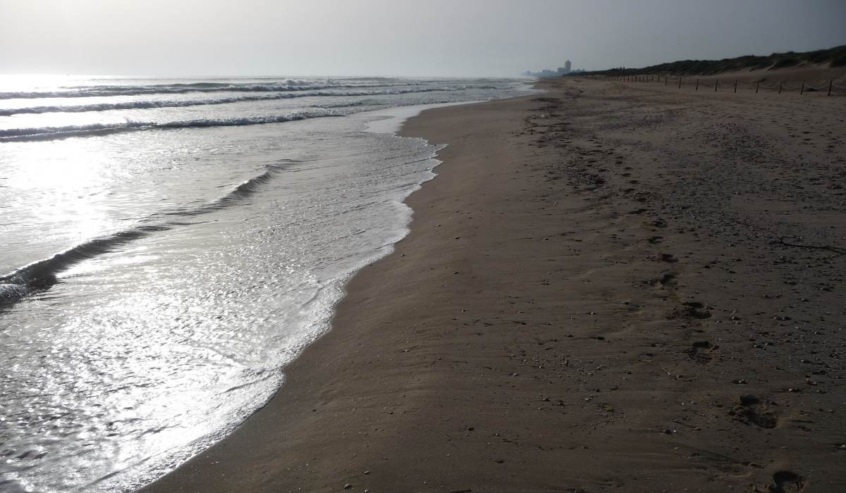 Plage de La Devesa