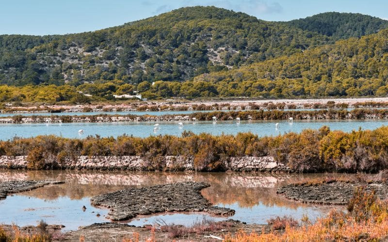 Parc naturel Ses Salines