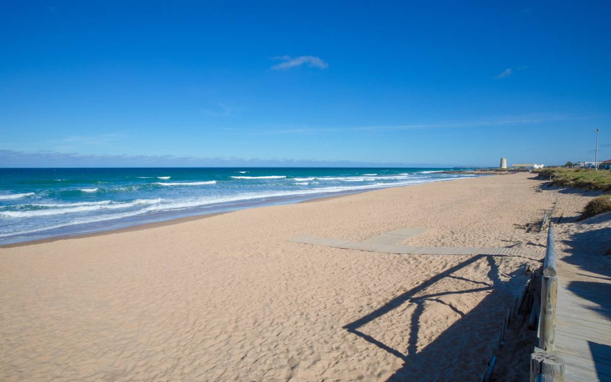 Plage el Palmar à Vejer de la Frontera