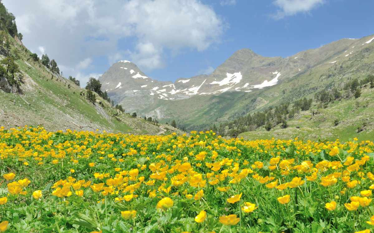 Vallée de Benasque