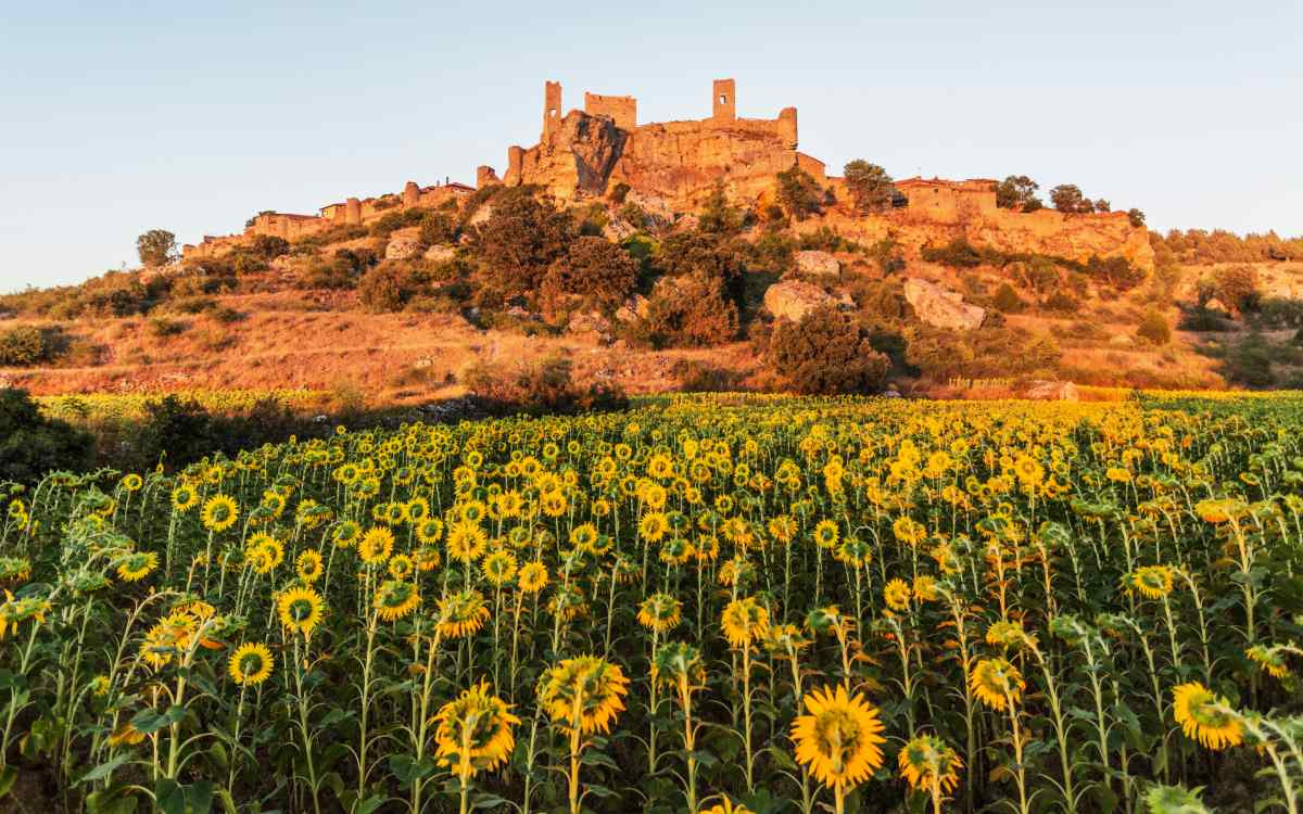 Château de Calatañazor