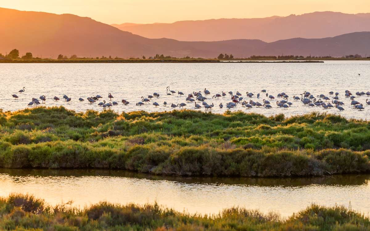 Parc naturel du Delta de l'Èbre