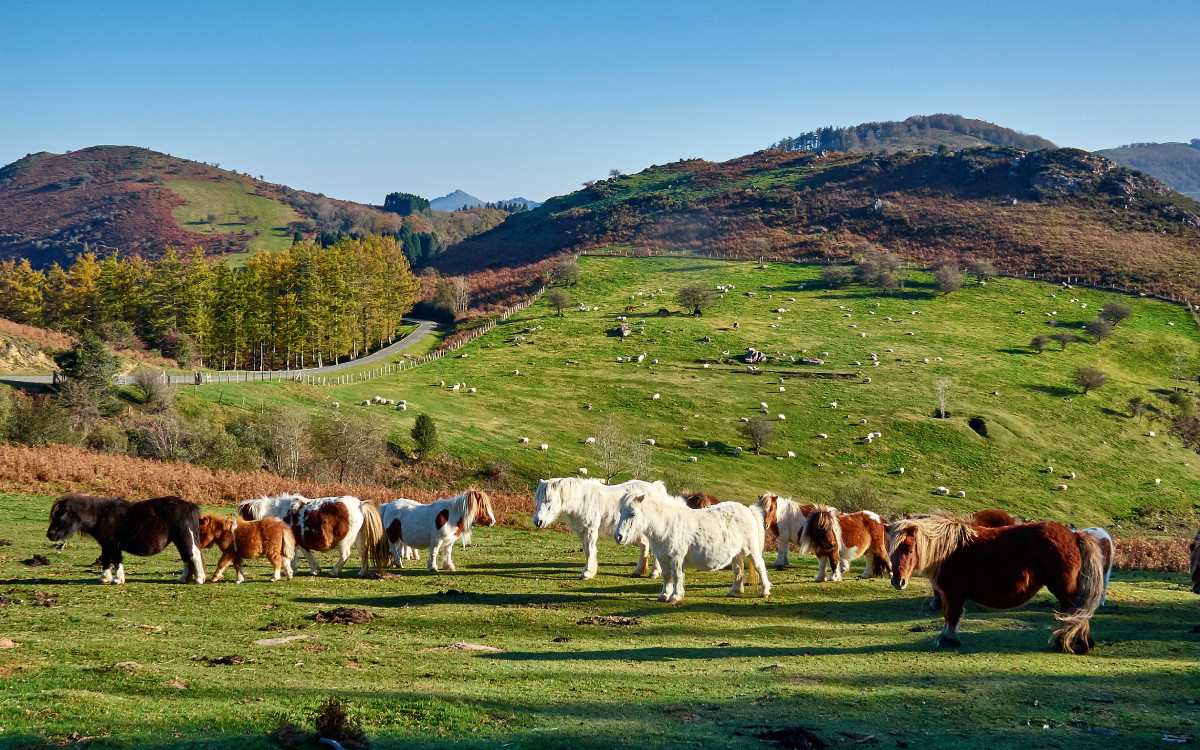 Vallée de Baztan