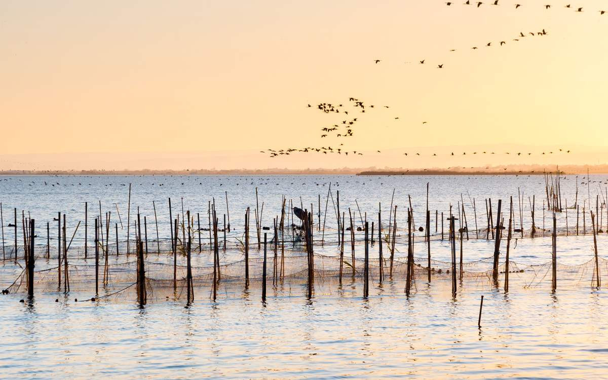 La Albufera