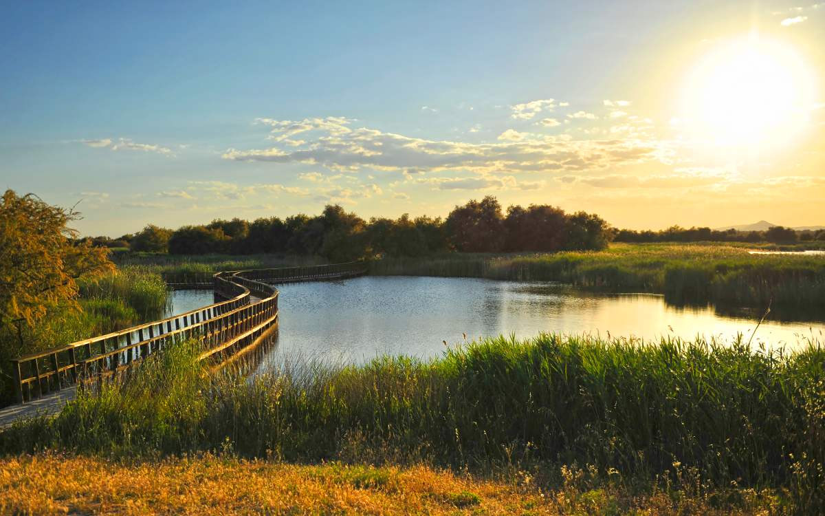 Parc national des Tablas de Daimiel