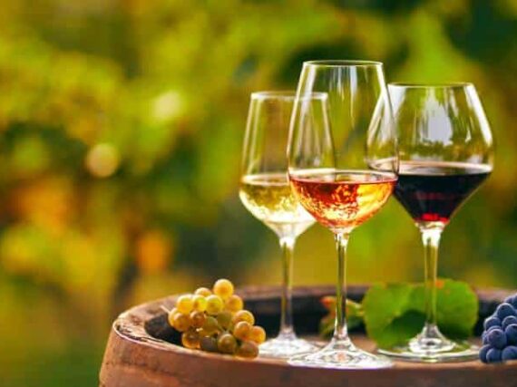 Route vinicole pour profiter des meilleurs vins espagnols