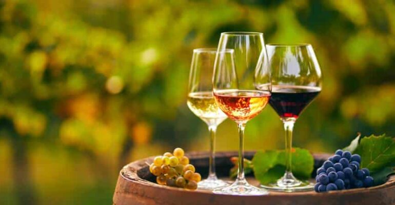 Route vinicole pour profiter des meilleurs vins espagnols