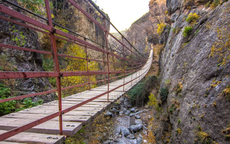 Un des ponts suspendus du sentier Los Cachorros