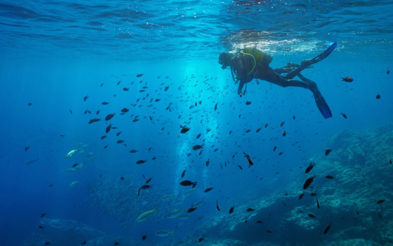 Plongeur dans les eaux des îles Medes