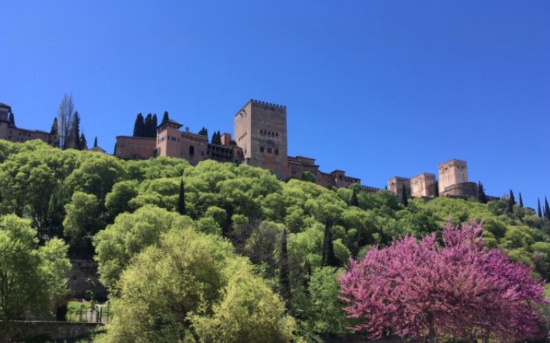 Vues de l'Alhambra depuis le mirador du Padre Manjón