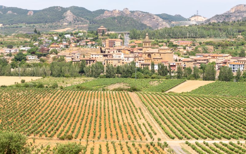Briñas, un charmant village situé au milieu des vignes