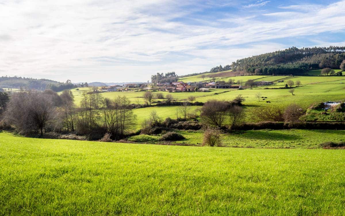 Paysages verdoyants lors de l'étape menant à Arzúa. | Shutterstock
