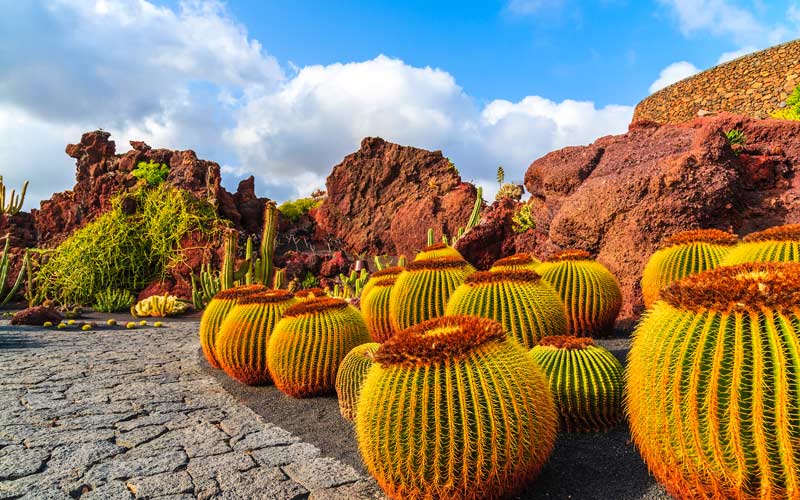 Jardín de Cactus de Guatiza