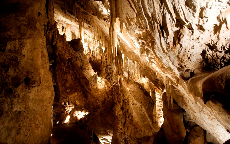 Grotte des Chauves-souris à Zuheros