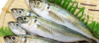 pescado san cristobal laguna