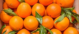 naranjas castellon