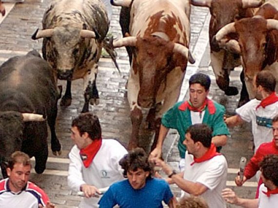 Fêtes de San Fermín, des taureaux de combat dans les rues de Pampelune (Pamplona-Iruña)