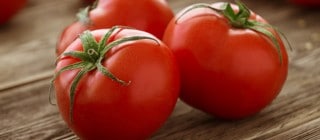 tomate tuinaje